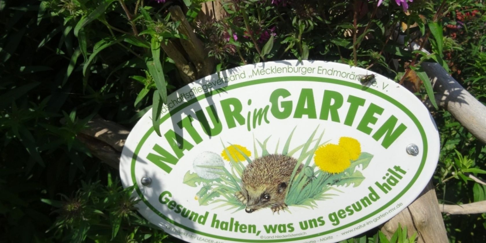 natur_im_garten_gutshof_alt_guthendorf, &copy; Renate Topp