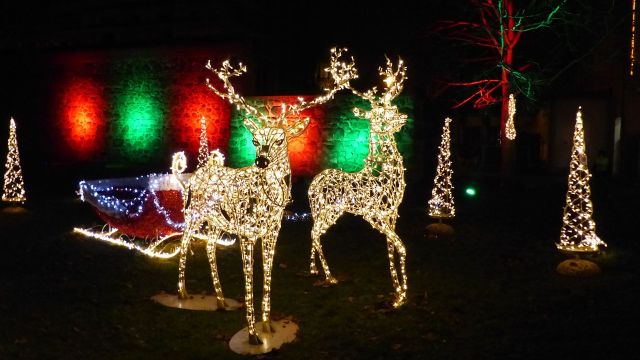 Weberglockenmarkt, &copy; VZN