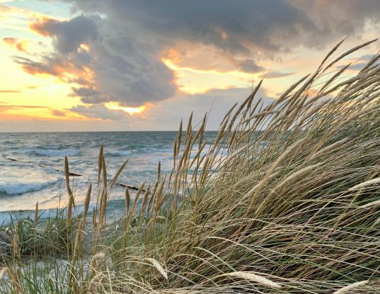 K Baerwald Ostsee und Strandhafer bearb, &copy; Nationalparkamt/K.B&auml;rwald