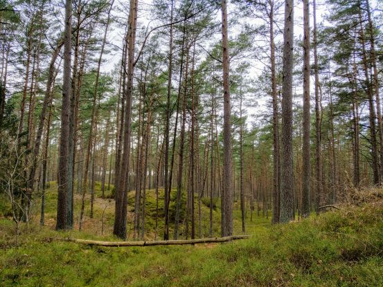 Baaber Heide, © KV Baabe