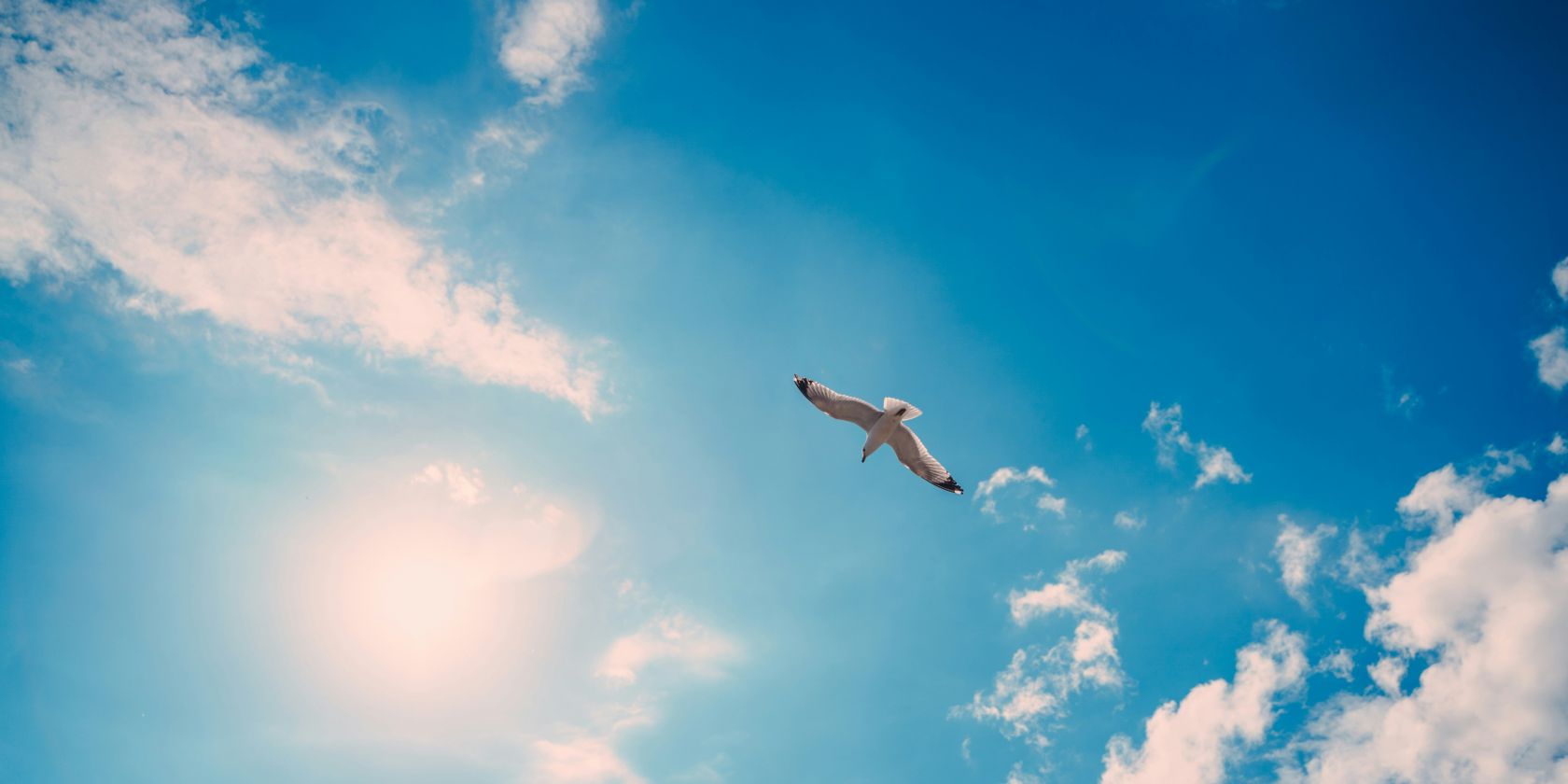 Fahrt ins Blaue &ndash; &Uuml;berraschung garantiert!, &copy; Foto von Artem Pechenkin auf Unsplash