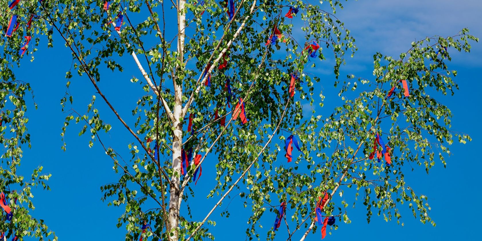 maypole-3367293_1920, &copy; Gemeinde Ostseebad Glowe