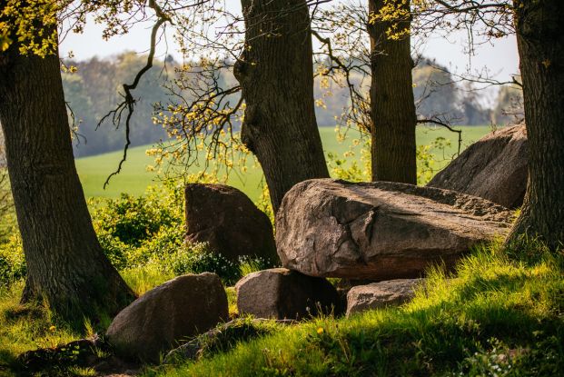 Wanderung: Giganten der Steinzeit - Die Häuser der Toten, © Binzer Bucht Tourismus | Ch. Thiele