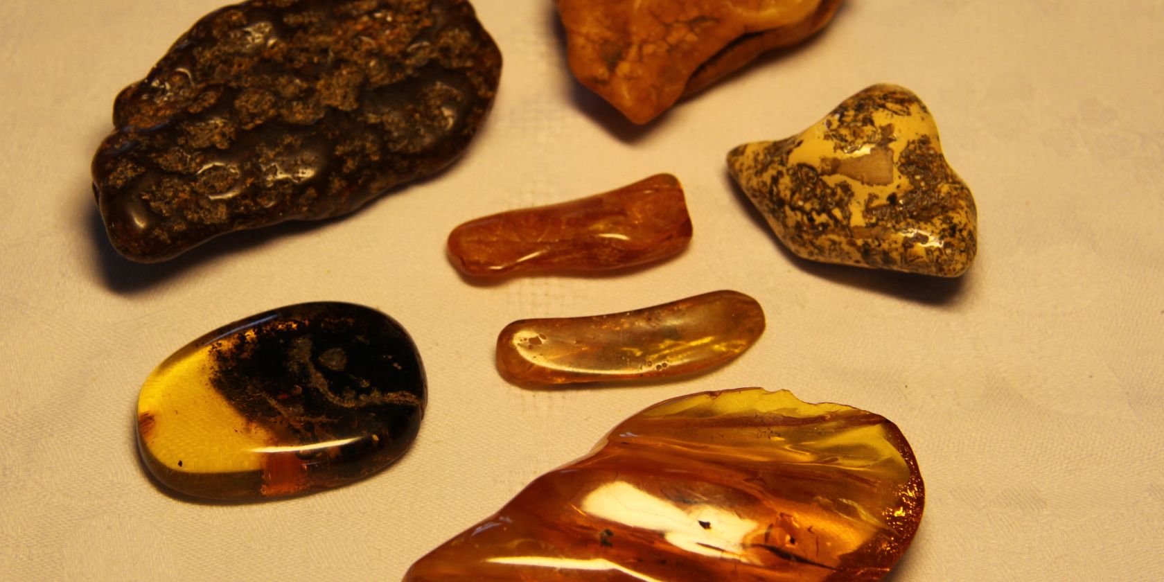 Vortrag: "Bernstein &ndash; das Gold der Ostsee", &copy; Historische Gesellschaft zu Zinnowitz, Ute Spohler, 17454 Zinnowitz, Sc