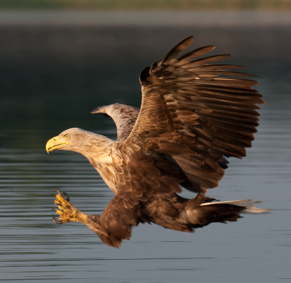 Multivisionsshow, &copy; Kurverwaltung M&ouml;nchgut