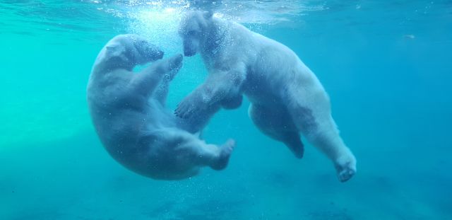 Entdeckerpass, © Zoo Rostock/Bruhn