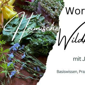 Wildkraeuter-Veranstaltungsbild-2024-300x300, &copy; Jennifer Dietel
