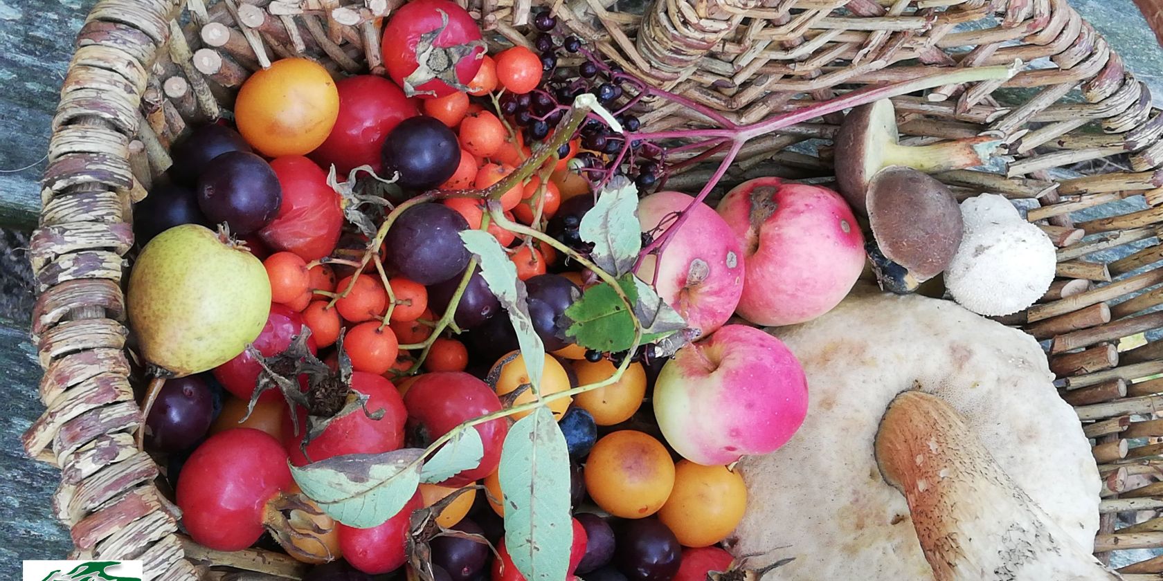 Wild fruit hike, © Naturerlebnisverein Rügen e.V.