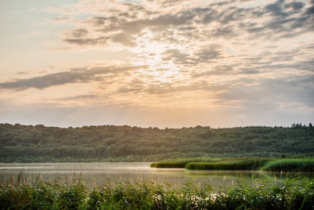 Kurs: Sunset Yoga am Schmachter See, © Binzer Bucht Tourismus