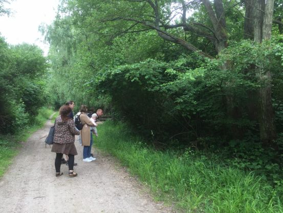 waldwissen, &copy; Gemeinde Ostseebad Glowe