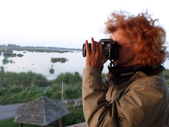 Wanderung " Eine Stadt am Fluss", &copy; AFL