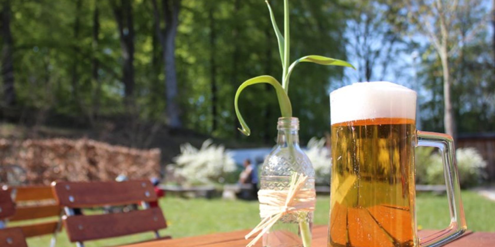 Vatertag auf dem Baumwipfelpfad, &copy; Erlebnis Akademie AG/NEZR
