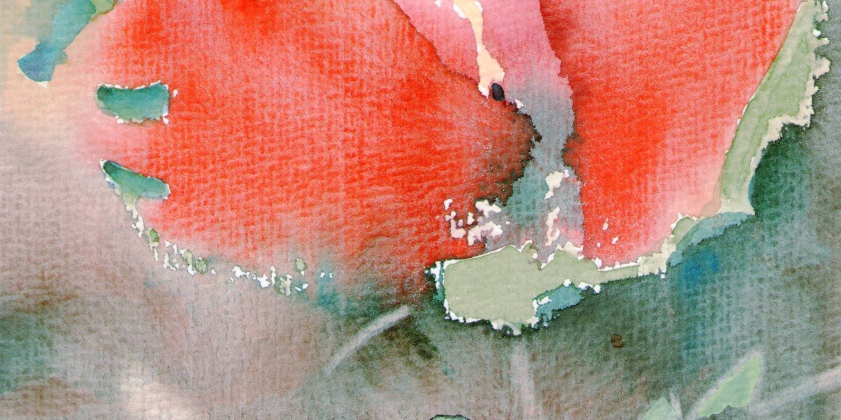 egon arnold, © egon arnold