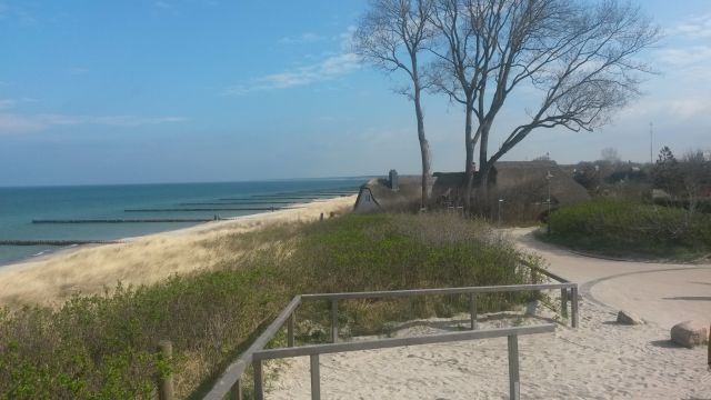 Halbtagesfahrt Fischland-Darß-Zingst, © Jan Dzarnowski