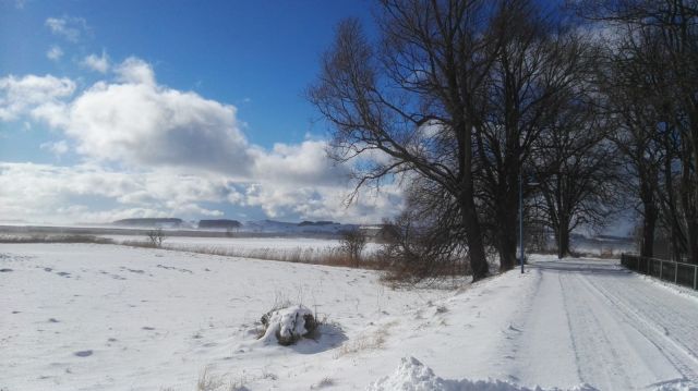 Winterwanderung, © Petra Wolter