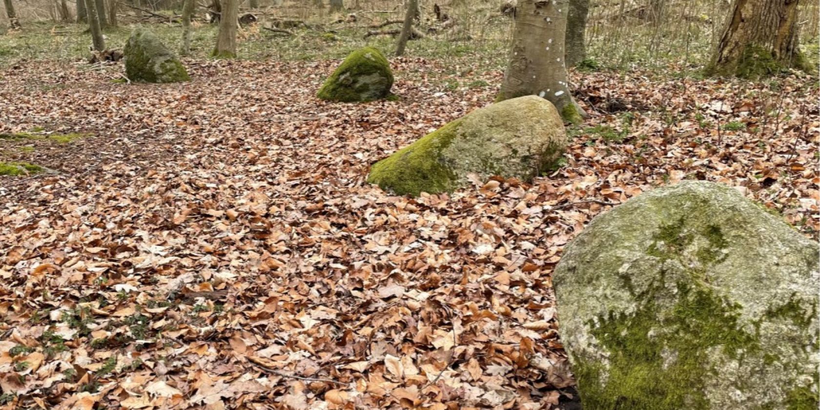 Apostle stones room (1), © Südliche Boddenküste