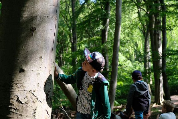 Familien-Sommerwanderung "Im Reich der Schatten", © NZK-Lehmann
