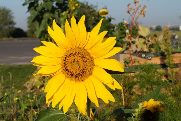 Design ohne Titel(7), &copy; Nora Zender