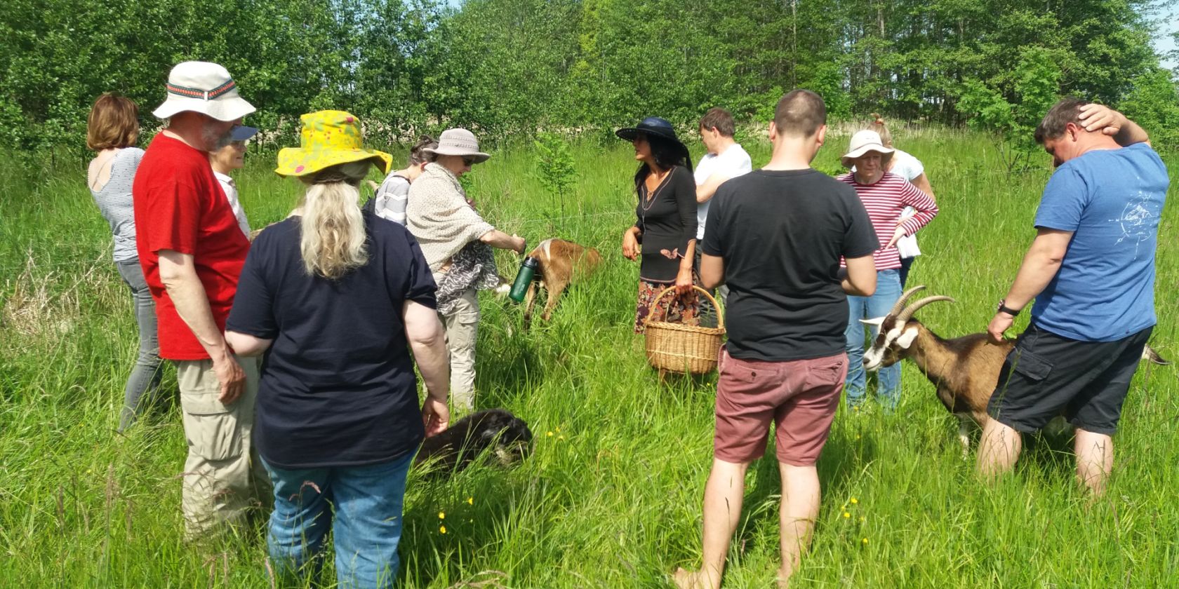 Wildkräuterwanderung mit den Hofziegen von Kräuterfrau Jeanette Nadebor, © Martin Hagemann