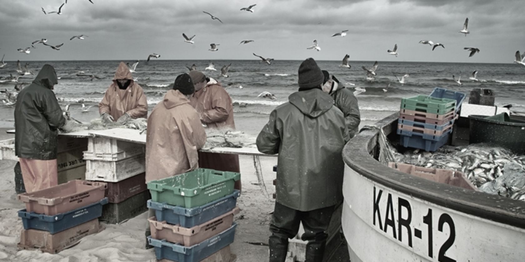 , &copy; Die Usedomer Fischer.jpg