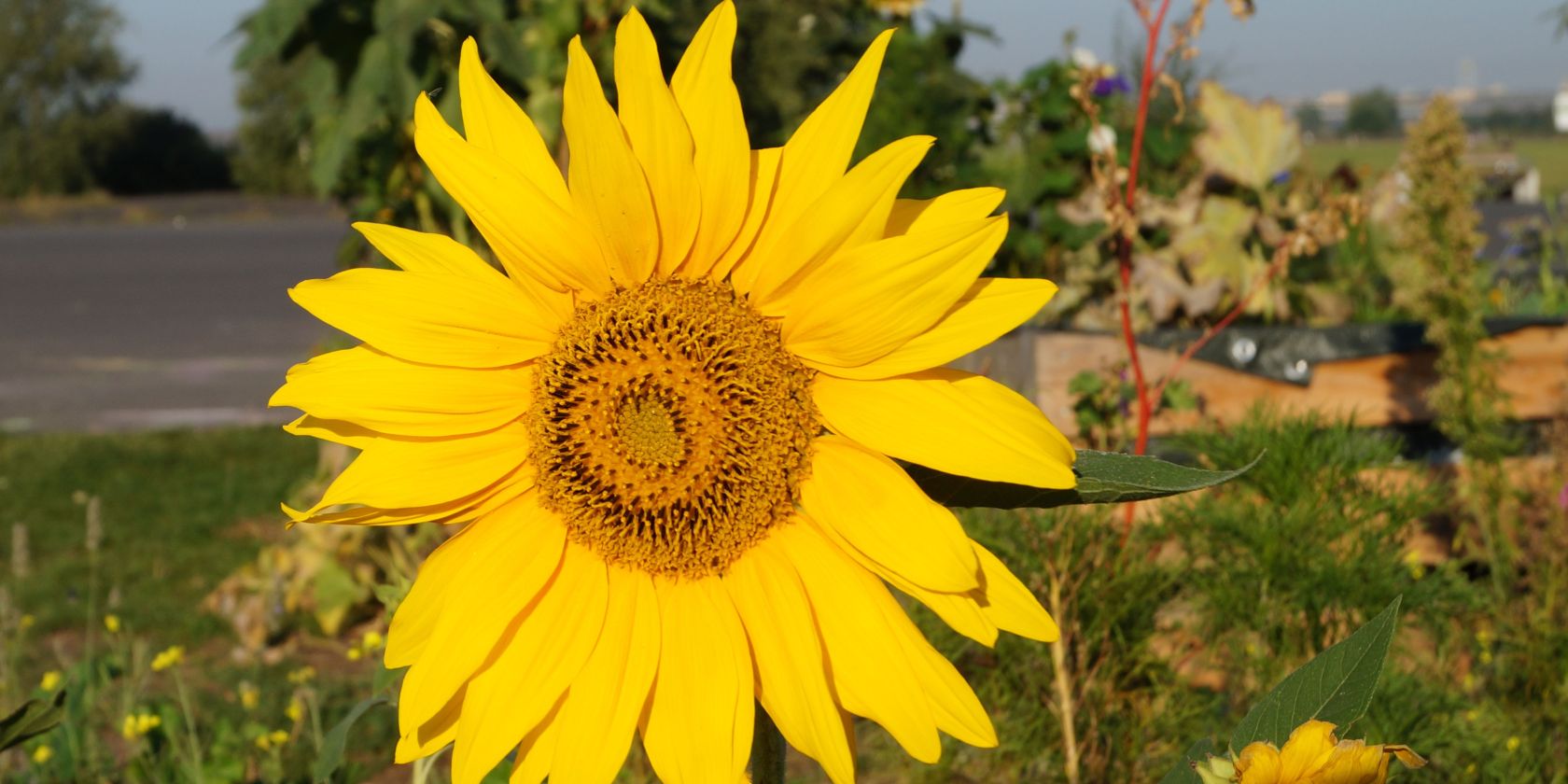 Design ohne Titel(7), &copy; Nora Zender