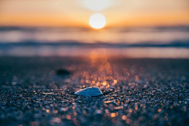 Strandfunde - Kreativwerkstatt am Meer, © Binzer Bucht Tourismus