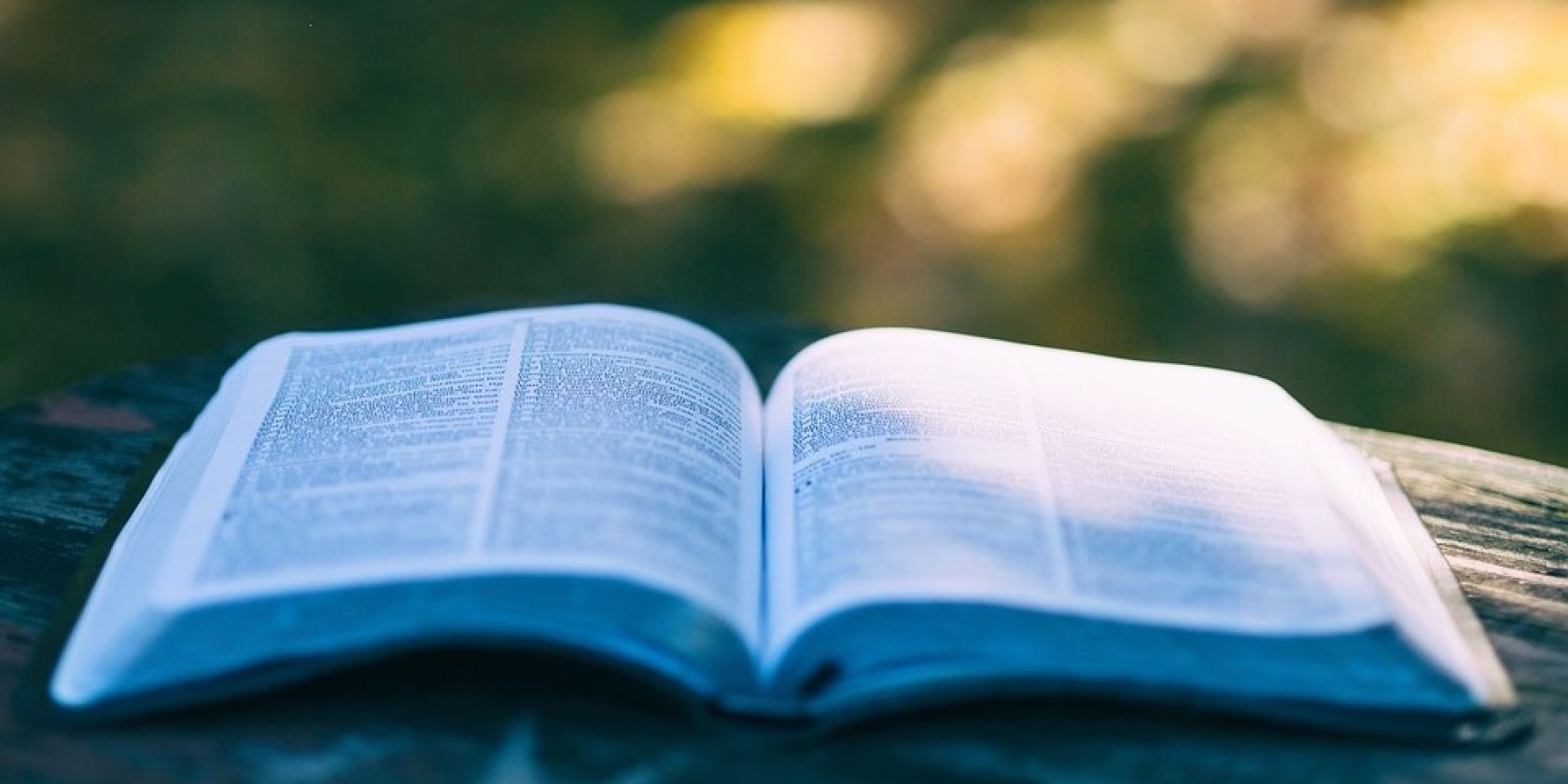 book-1868068_960_720, &copy; Pixabay