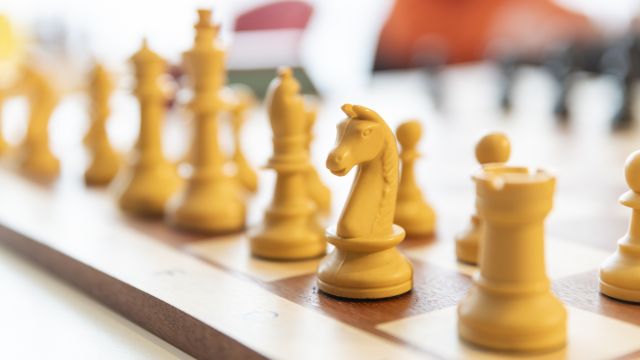 Schach f&uuml;r alle &mdash; offenes Training, &copy; Andr&eacute; Pristaff (TuK)