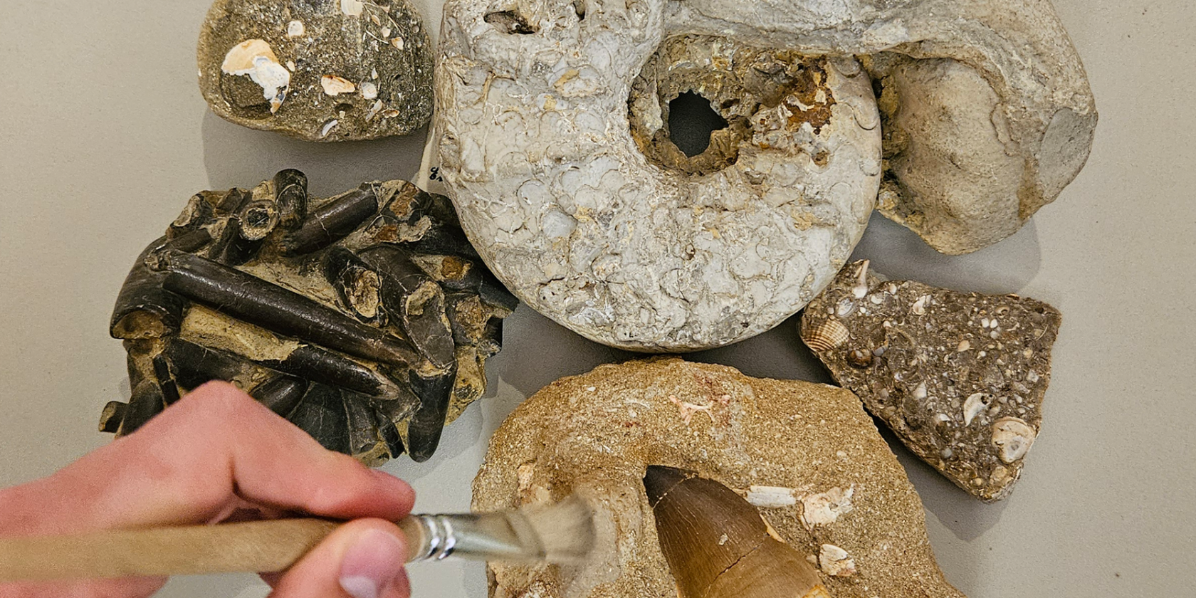 Geologist-in-Work_FAT-Mueritzeum_VD, © K.Franz/Müritzeum