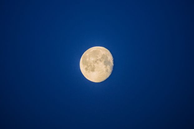 Vollmond auf dem Baumwipfelpfad, © Binzer Bucht Tourismus