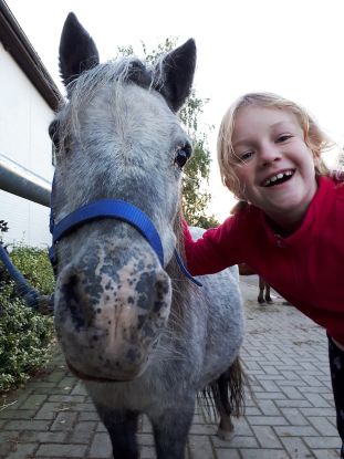 Tag im Pferdestall, &copy; bernsteinreiter