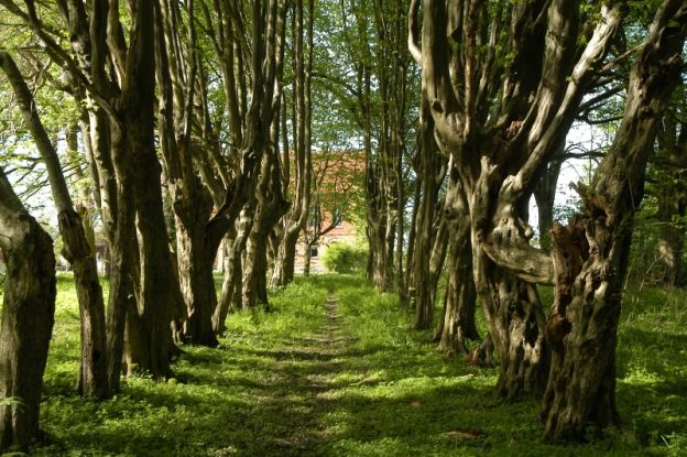 Waldpark Hessenburg, © Hessenburg
