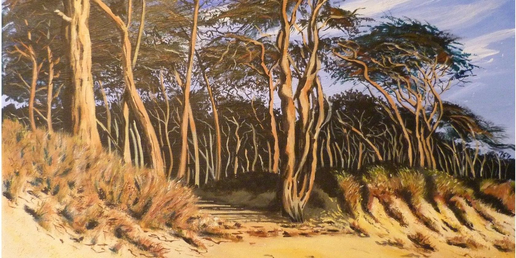 Wald_und_Meer, &copy; -