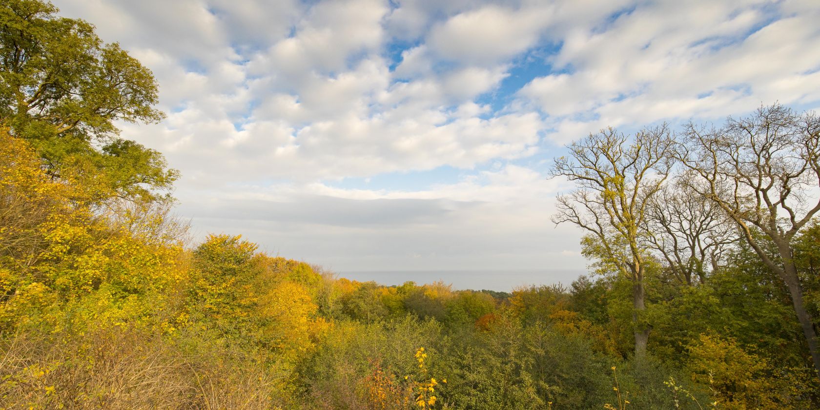 Gemuetlicher Herbstspaziergang (c) Kuverwaltung Goehren  Martin Stoever 2016 _P5I5205, © Kurverwaltung Goehren / Martin Stoever