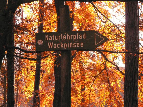 Geführte Wanderung um den Wockninsee, © (c) Kurverwaltung Ückeritz