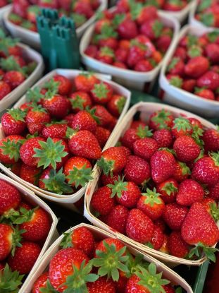 strawberry time, © Karls Markt OHG