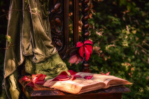 Literarischer Waldspaziergang, © pixabay