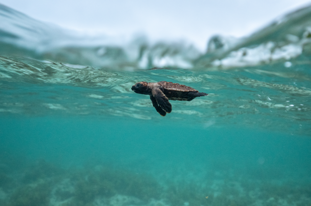 Seychellen_MartinaAndres_VD, &copy; Martina Andres