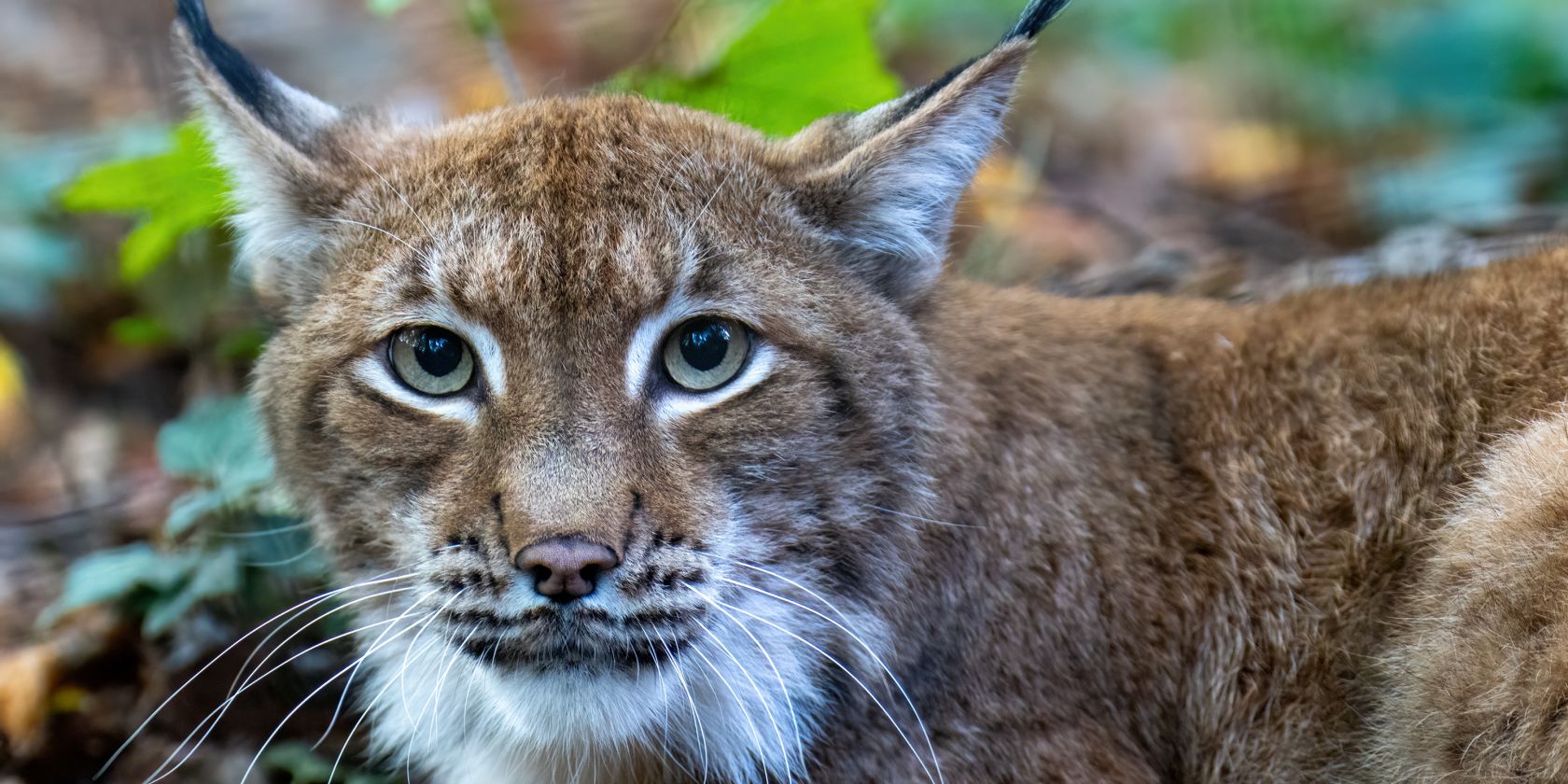 Mikroabenteuer im Zoo Rostock, © Zoo Rostock/Drübbisch