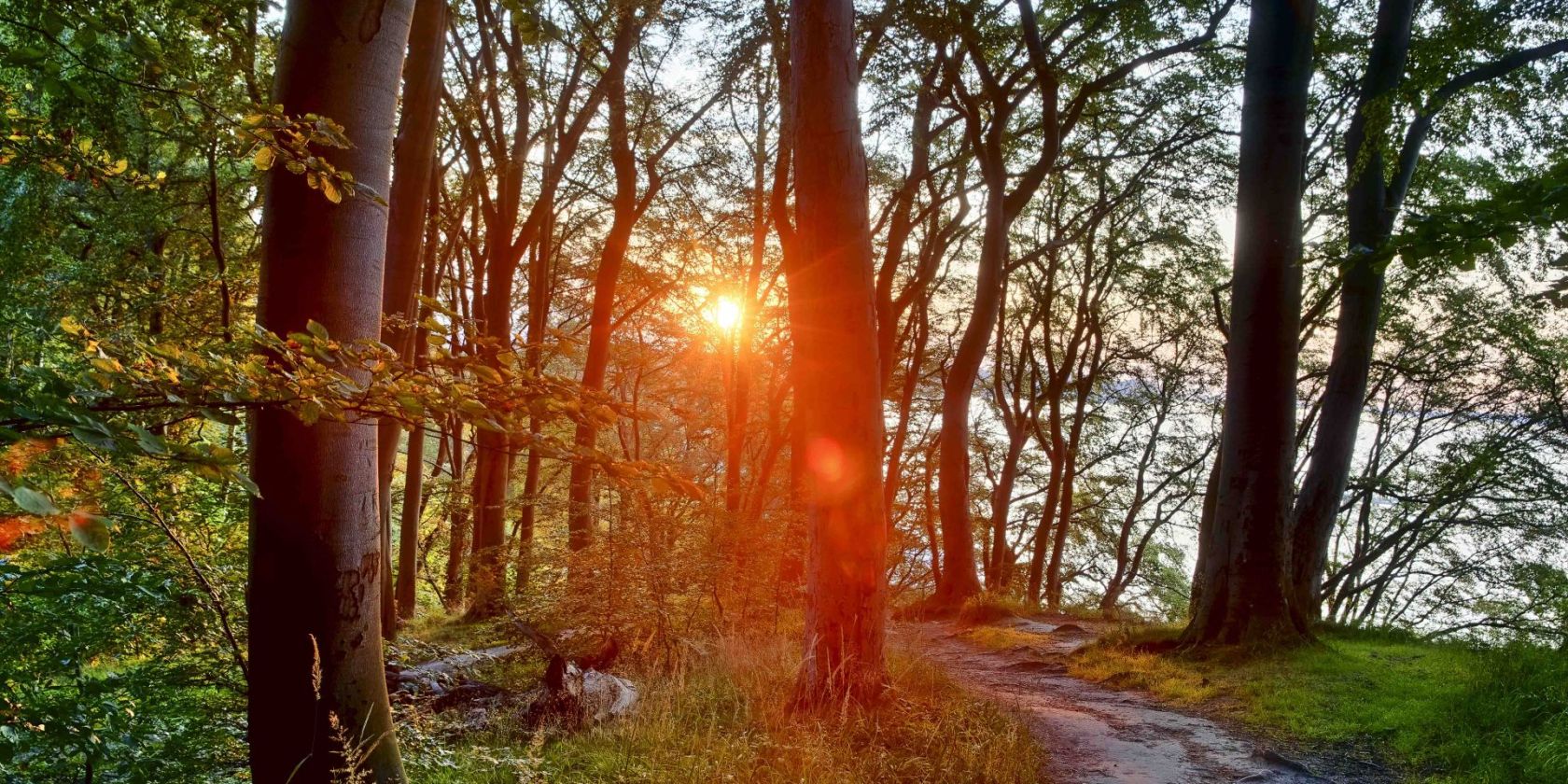 Literarischer Spaziergang (c) Kurverwaltung Goehren Martin Stoever_07-2019_P5I1472_71_70_69_68_HDR projects-2, © Kurverwaltung Goehren / Martin Stoever