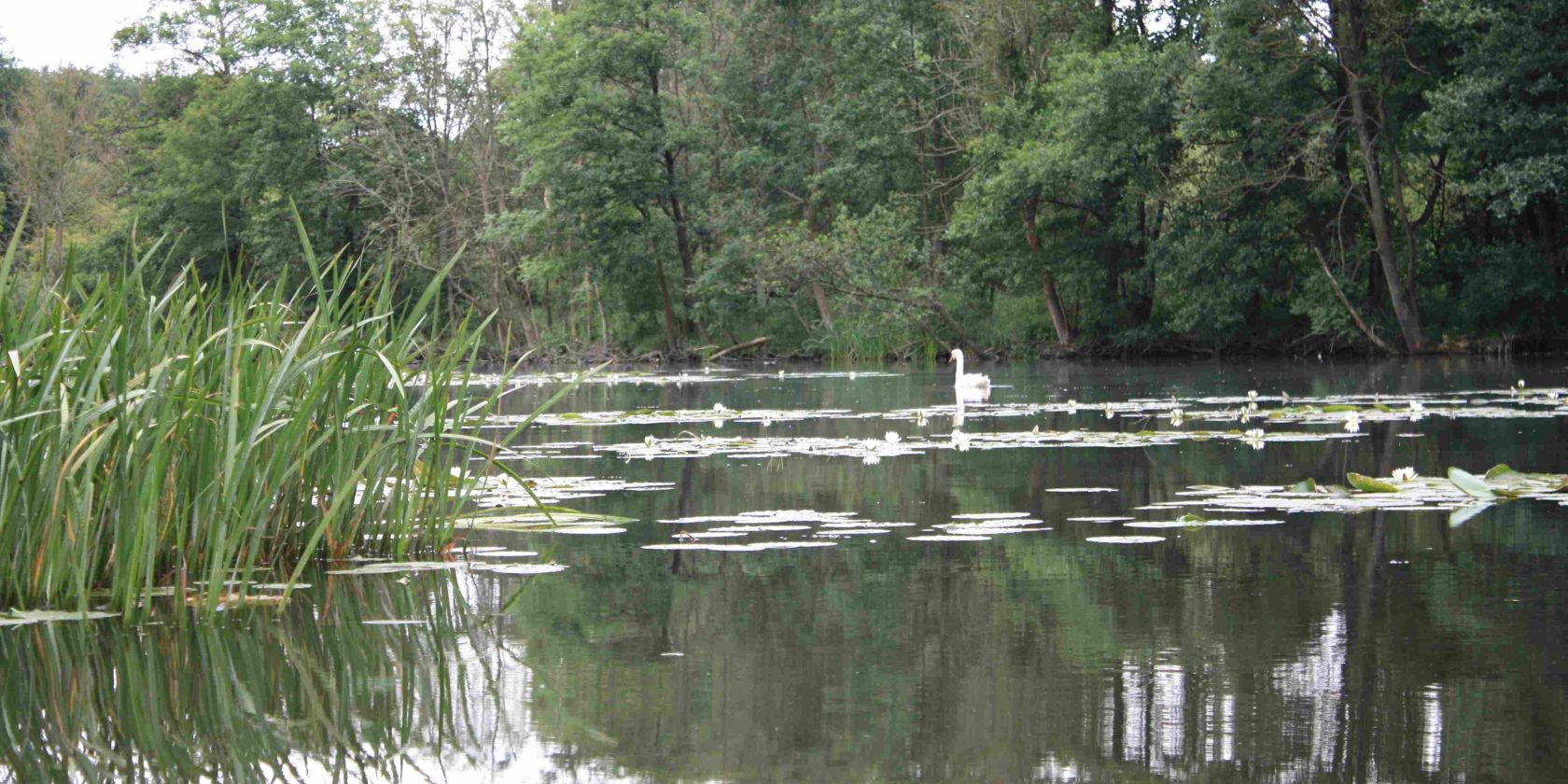 24-08 Paddeln auf der Peene, Archiv Naturpark, &copy; Marin-Ziegler