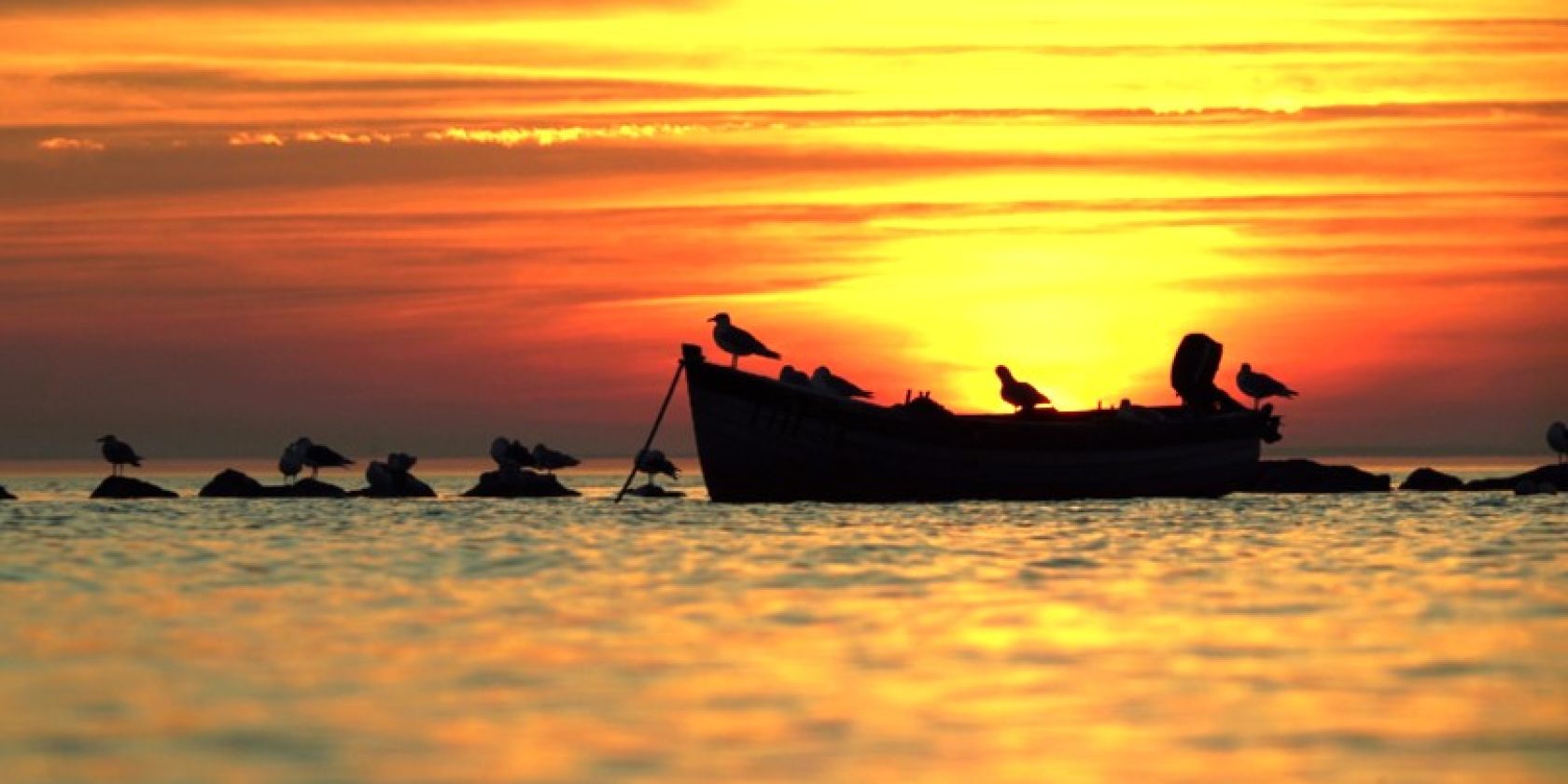 KLZ Boot V&ouml;gel Sonnenuntergang Offermann, &copy; Nico Offermann