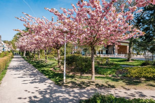 Tanz in den Mai mit Lampionumzug