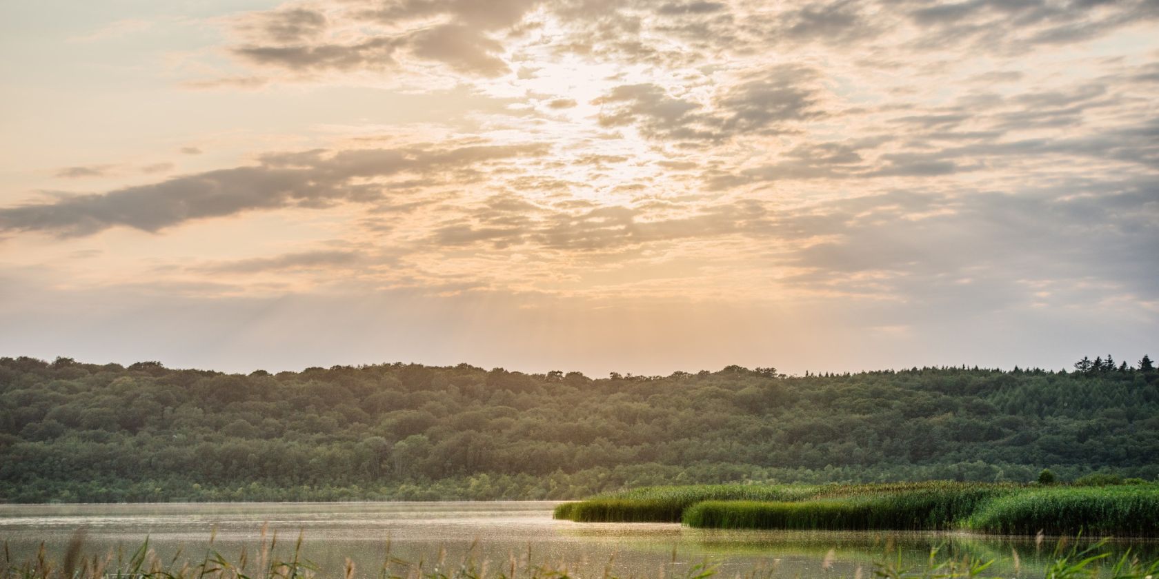 Kurs: Sunset Yoga am Schmachter See, © Binzer Bucht Tourismus