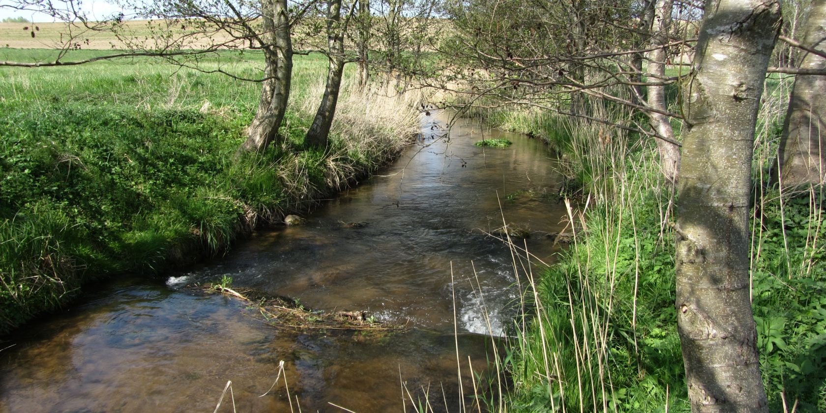 26-04-18 Wanderung zum Malchiner See, GMZ, &copy; c