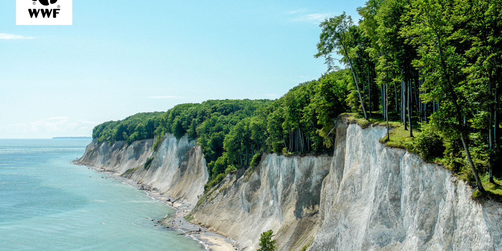 WWF Tour, &copy; Nationalpark-Zentrum K&ouml;nigsstuhl