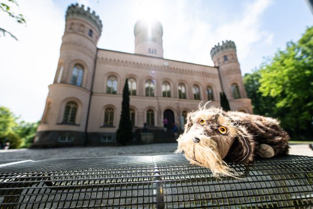 Puppenspielführung mit Schlosshund Waldi von und mit Birgit Schuster, © (c) SSGK M-V, Foto: Peter van Heesen