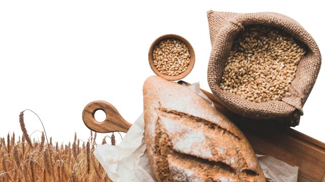KeyVisual_Workshop_Cereal_16to9, © MuSeEn gGmbH