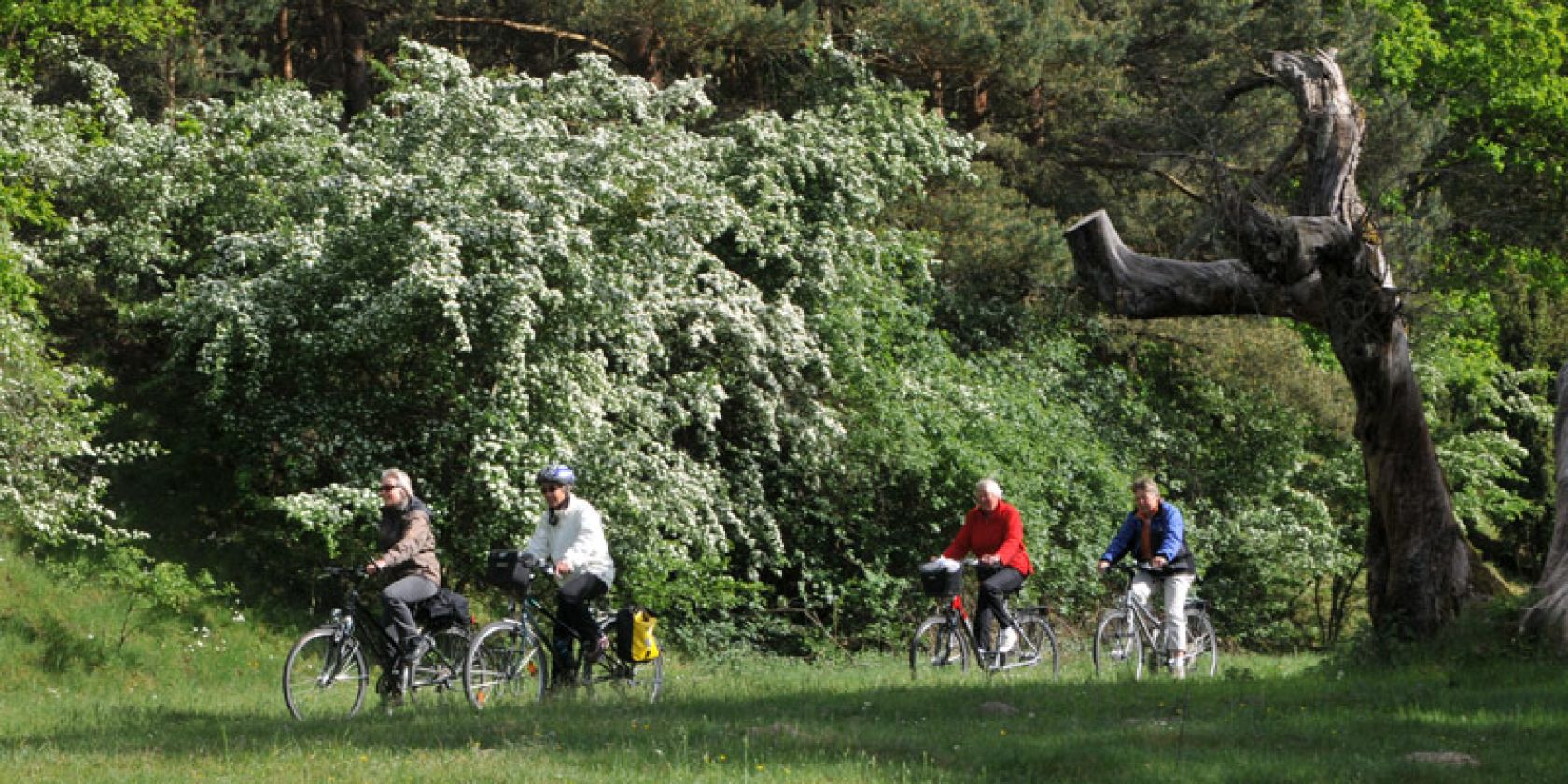 Radwandern im M&uuml;ritz-Nationalpark, &copy; Waren (M&uuml;ritz) Kur- und Tourismus GmbH