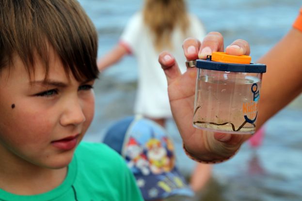 UMWELTTIPP F&Uuml;R KIDS "Strandforscher gesucht", &copy; Picasa